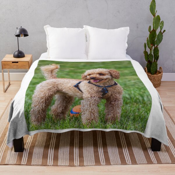 Item preview, Poodle Dog Playing at the Park designed and sold by VanGaldo.