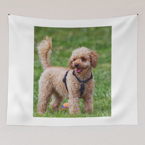 Item preview, Poodle Dog Playing at the Park designed and sold by VanGaldo.