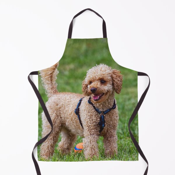 Item preview, Poodle Dog Playing at the Park designed and sold by VanGaldo.