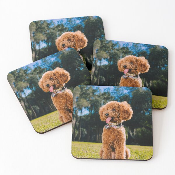 Item preview, Lovely Poodle Dog Enjoys the view designed and sold by VanGaldo.