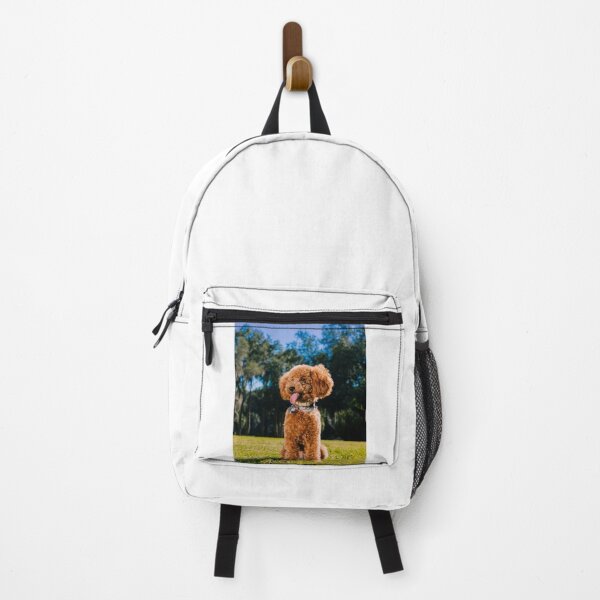 Item preview, Lovely Poodle Dog Enjoys the view designed and sold by VanGaldo.