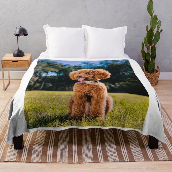 Item preview, Lovely Poodle Dog Enjoys the view designed and sold by VanGaldo.