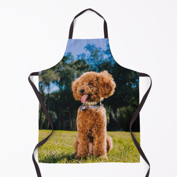 Item preview, Lovely Poodle Dog Enjoys the view designed and sold by VanGaldo.