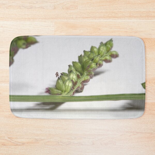 Item preview, Tiny Little Aphids on a Grass Spike (Microscope) designed and sold by Petalgrain.