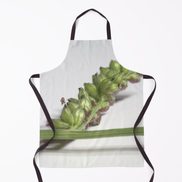 Item preview, Tiny Little Aphids on a Grass Spike (Microscope) designed and sold by Petalgrain.