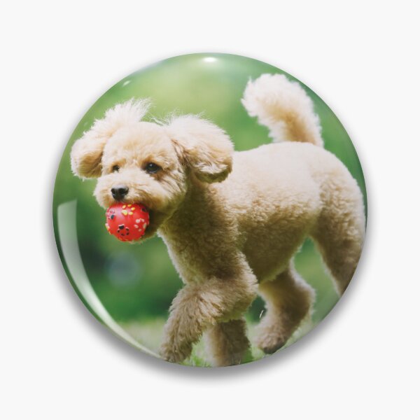 Item preview, Poodle Dog Playing with Pink Ball designed and sold by VanGaldo.