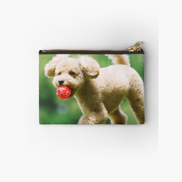 Item preview, Poodle Dog Playing with Pink Ball designed and sold by VanGaldo.
