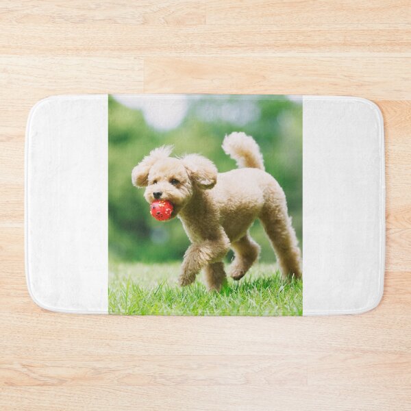 Item preview, Poodle Dog Playing with Pink Ball designed and sold by VanGaldo.