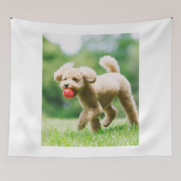 Item preview, Poodle Dog Playing with Pink Ball designed and sold by VanGaldo.