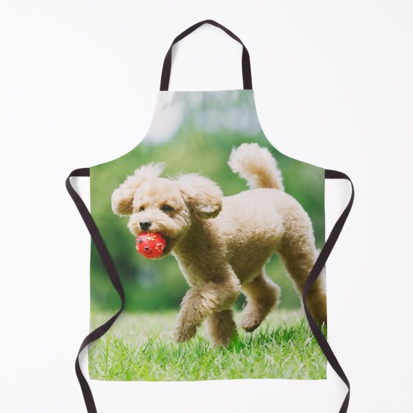 Item preview, Poodle Dog Playing with Pink Ball designed and sold by VanGaldo.