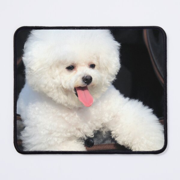 Item preview, Beautiful White Poodle Puppy designed and sold by VanGaldo.