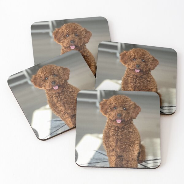Item preview, Beautiful Brown Poodle Dog Sitting designed and sold by VanGaldo.