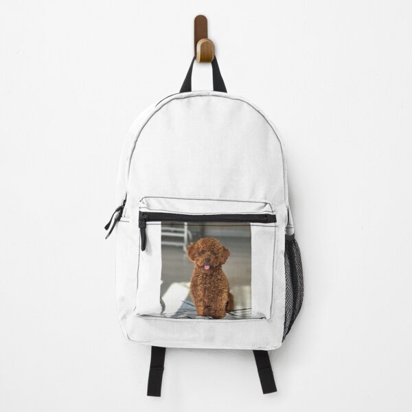 Item preview, Beautiful Brown Poodle Dog Sitting designed and sold by VanGaldo.