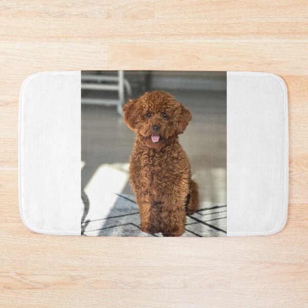 Item preview, Beautiful Brown Poodle Dog Sitting designed and sold by VanGaldo.