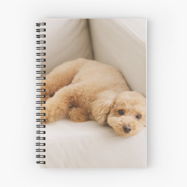 Item preview, Adorable Poodle Dog on the Couch designed and sold by VanGaldo.