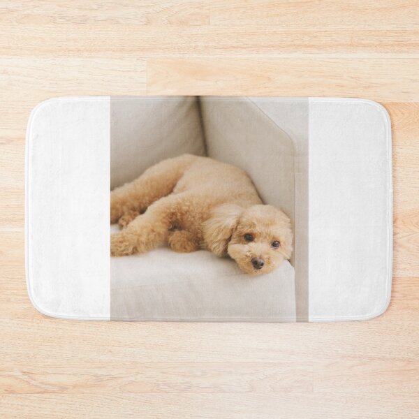 Item preview, Adorable Poodle Dog on the Couch designed and sold by VanGaldo.