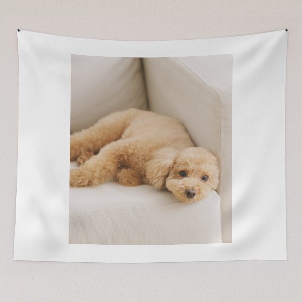Item preview, Adorable Poodle Dog on the Couch designed and sold by VanGaldo.