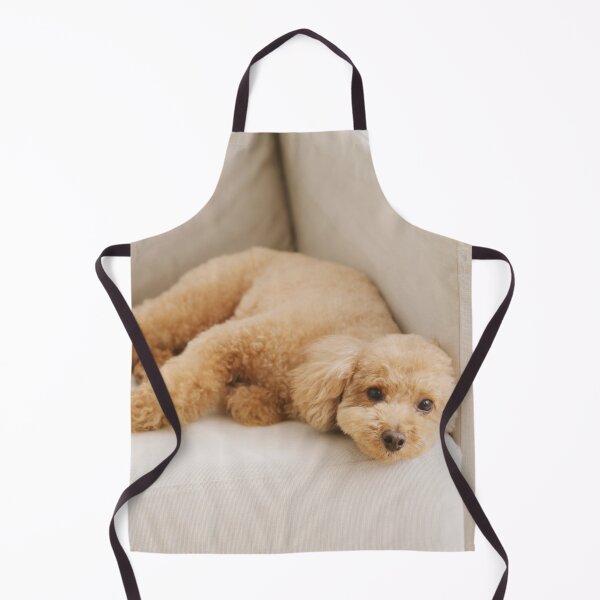 Item preview, Adorable Poodle Dog on the Couch designed and sold by VanGaldo.