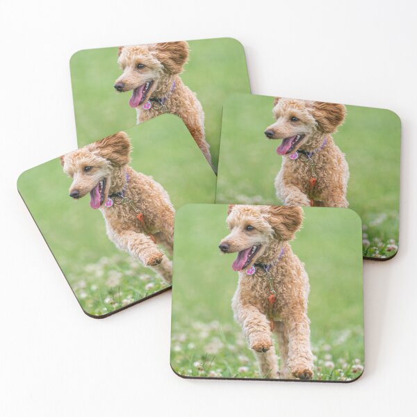 Item preview, Poodle Dog Loves Running designed and sold by VanGaldo.