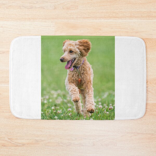 Item preview, Poodle Dog Loves Running designed and sold by VanGaldo.