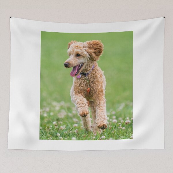 Item preview, Poodle Dog Loves Running designed and sold by VanGaldo.