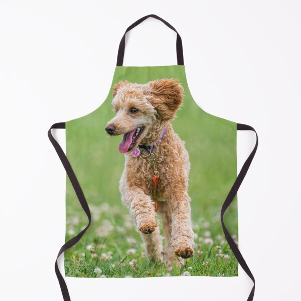 Item preview, Poodle Dog Loves Running designed and sold by VanGaldo.