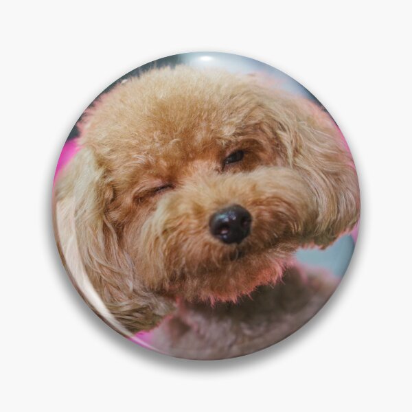 Item preview, Cute Poodle Dog Winking designed and sold by VanGaldo.