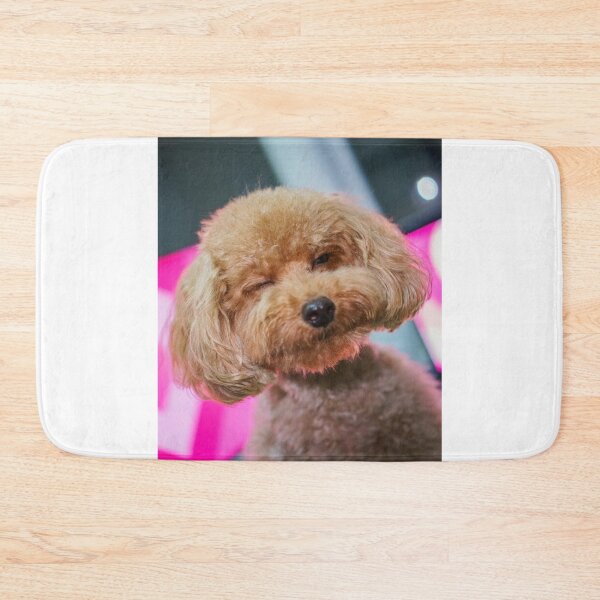 Item preview, Cute Poodle Dog Winking designed and sold by VanGaldo.