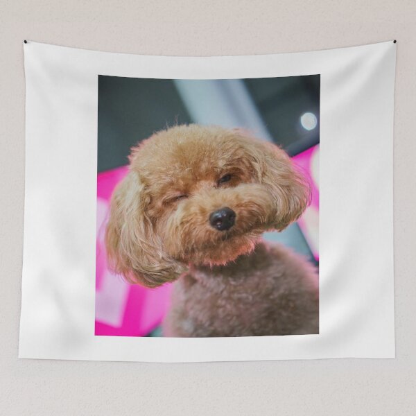Item preview, Cute Poodle Dog Winking designed and sold by VanGaldo.
