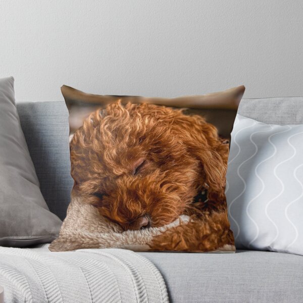 Item preview, Cute Poodle Dog Sleeping designed and sold by VanGaldo.