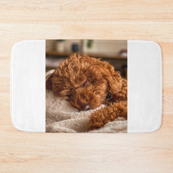 Item preview, Cute Poodle Dog Sleeping designed and sold by VanGaldo.