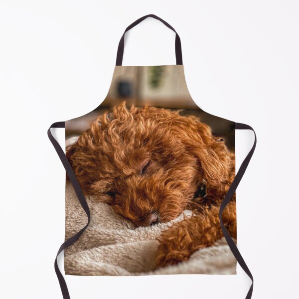 Item preview, Cute Poodle Dog Sleeping designed and sold by VanGaldo.