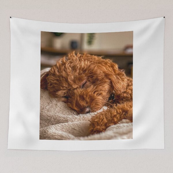 Item preview, Cute Poodle Dog Sleeping designed and sold by VanGaldo.