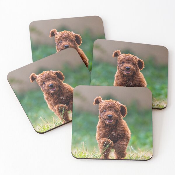 Item preview, Cute Poodle Puppy Running  designed and sold by VanGaldo.