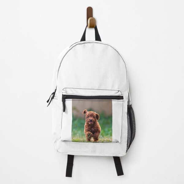 Item preview, Cute Poodle Puppy Running  designed and sold by VanGaldo.