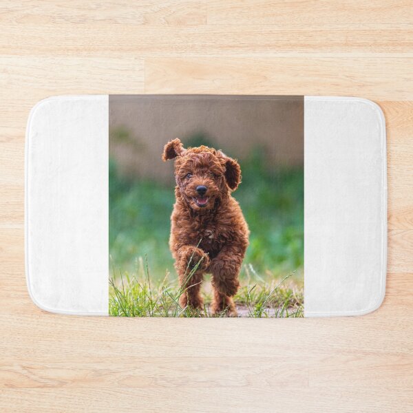 Item preview, Cute Poodle Puppy Running  designed and sold by VanGaldo.