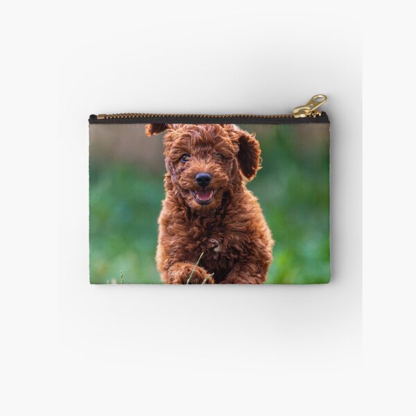Item preview, Cute Poodle Puppy Running  designed and sold by VanGaldo.