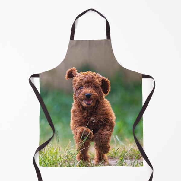 Item preview, Cute Poodle Puppy Running  designed and sold by VanGaldo.
