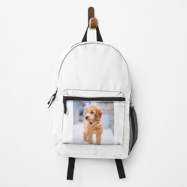 Item preview, Poodle Puppy Observing the Snow designed and sold by VanGaldo.