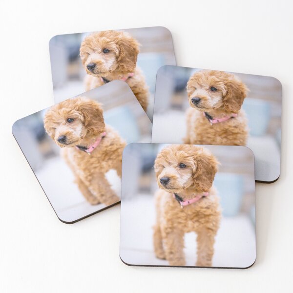 Item preview, Poodle Puppy Observing the Snow designed and sold by VanGaldo.