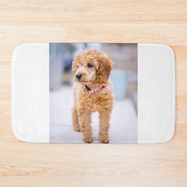 Item preview, Poodle Puppy Observing the Snow designed and sold by VanGaldo.