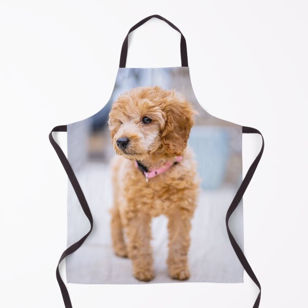 Item preview, Poodle Puppy Observing the Snow designed and sold by VanGaldo.