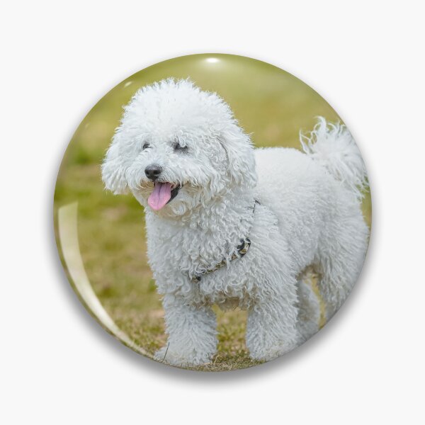 Item preview, White Poodle Dog Walking Around the Yard designed and sold by VanGaldo.
