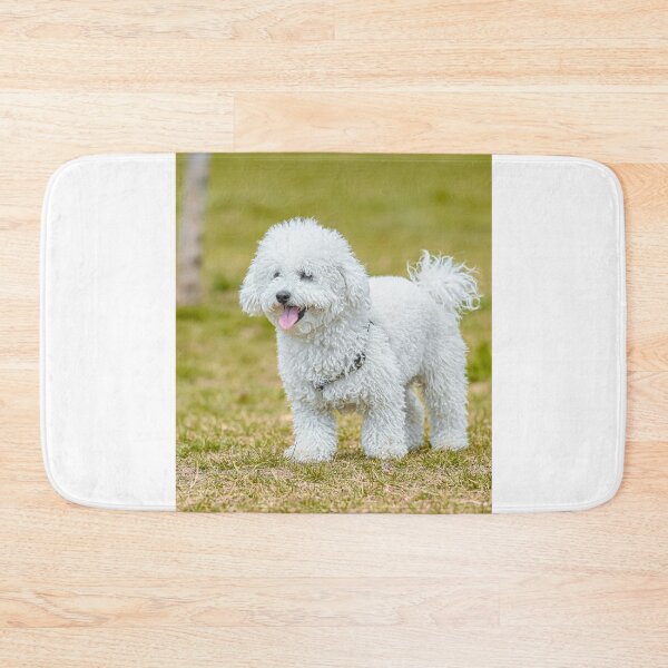 Item preview, White Poodle Dog Walking Around the Yard designed and sold by VanGaldo.