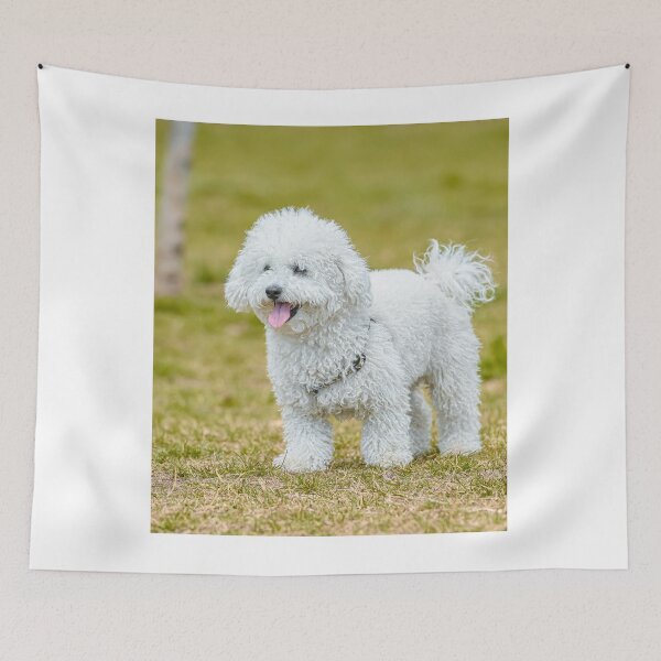 Item preview, White Poodle Dog Walking Around the Yard designed and sold by VanGaldo.