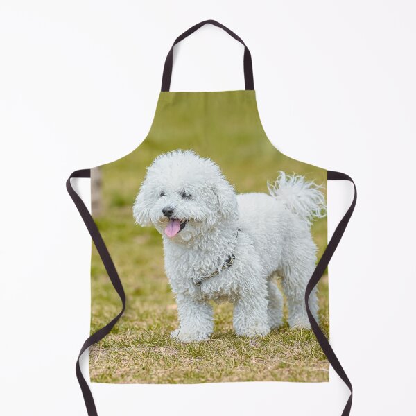 Item preview, White Poodle Dog Walking Around the Yard designed and sold by VanGaldo.