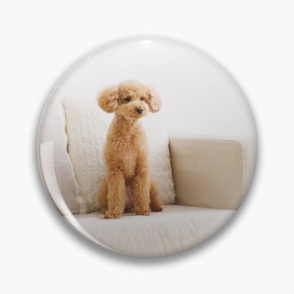 Item preview, Poodle Dog Sitting on the Couch designed and sold by VanGaldo.