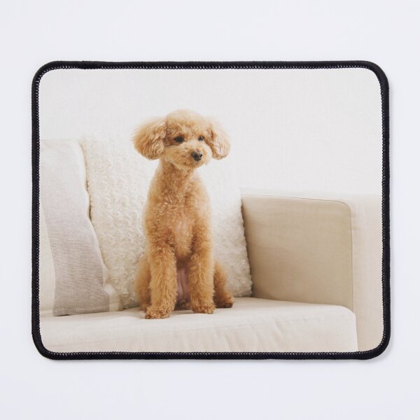 Item preview, Poodle Dog Sitting on the Couch designed and sold by VanGaldo.