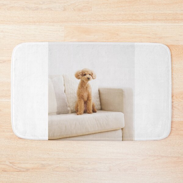 Item preview, Poodle Dog Sitting on the Couch designed and sold by VanGaldo.