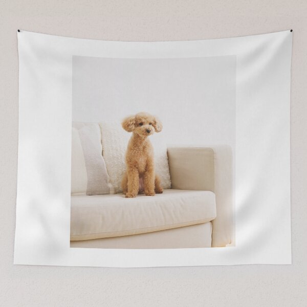 Item preview, Poodle Dog Sitting on the Couch designed and sold by VanGaldo.